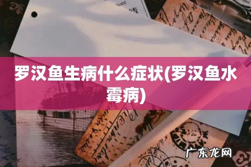 罗汉鱼水霉病 罗汉鱼生病什么症状