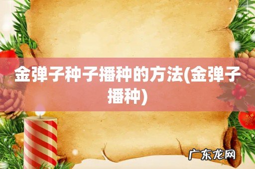 金弹子播种 金弹子种子播种的方法