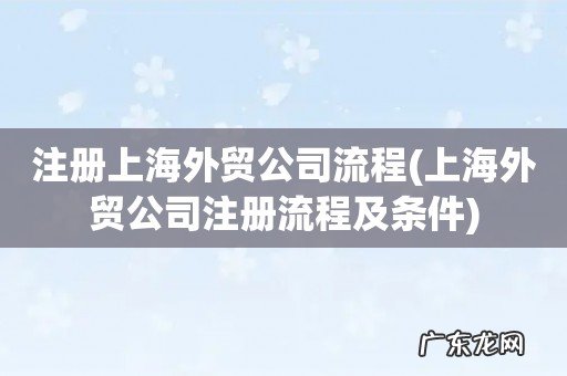 上海外贸公司注册流程及条件 注册上海外贸公司流程