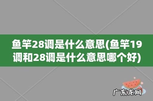 鱼竿19调和28调是什么意思哪个好 鱼竿28调是什么意思