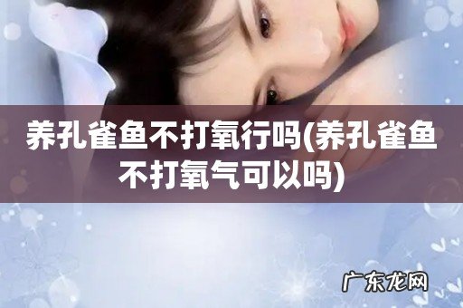 养孔雀鱼不打氧气可以吗 养孔雀鱼不打氧行吗