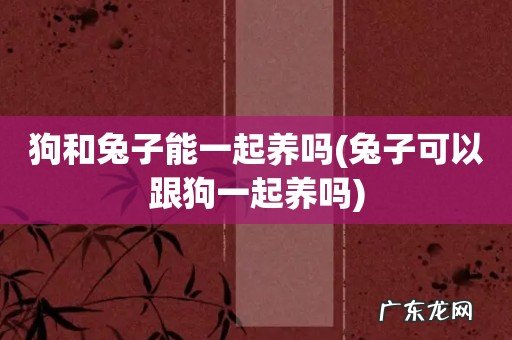 兔子可以跟狗一起养吗 狗和兔子能一起养吗