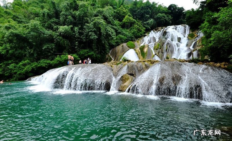丹凤朝阳风水 飞凤朝阳风水是什么意思