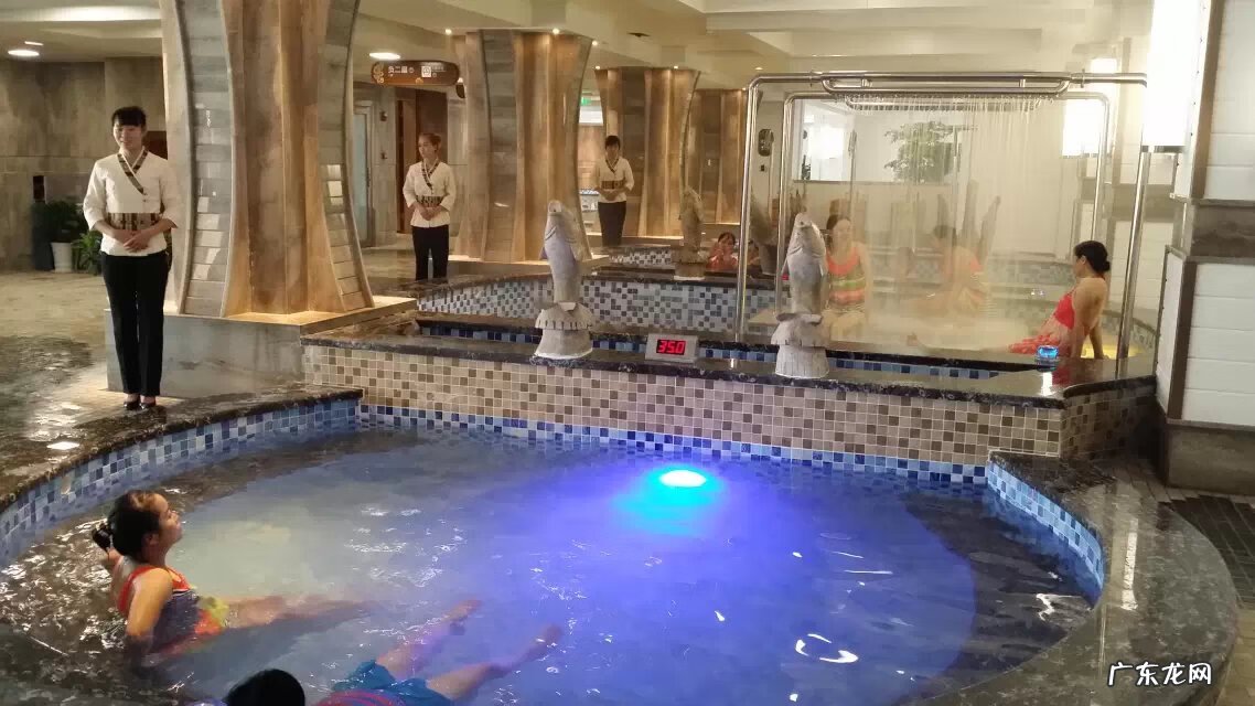 丹凤朝阳风水 飞凤朝阳风水是什么意思