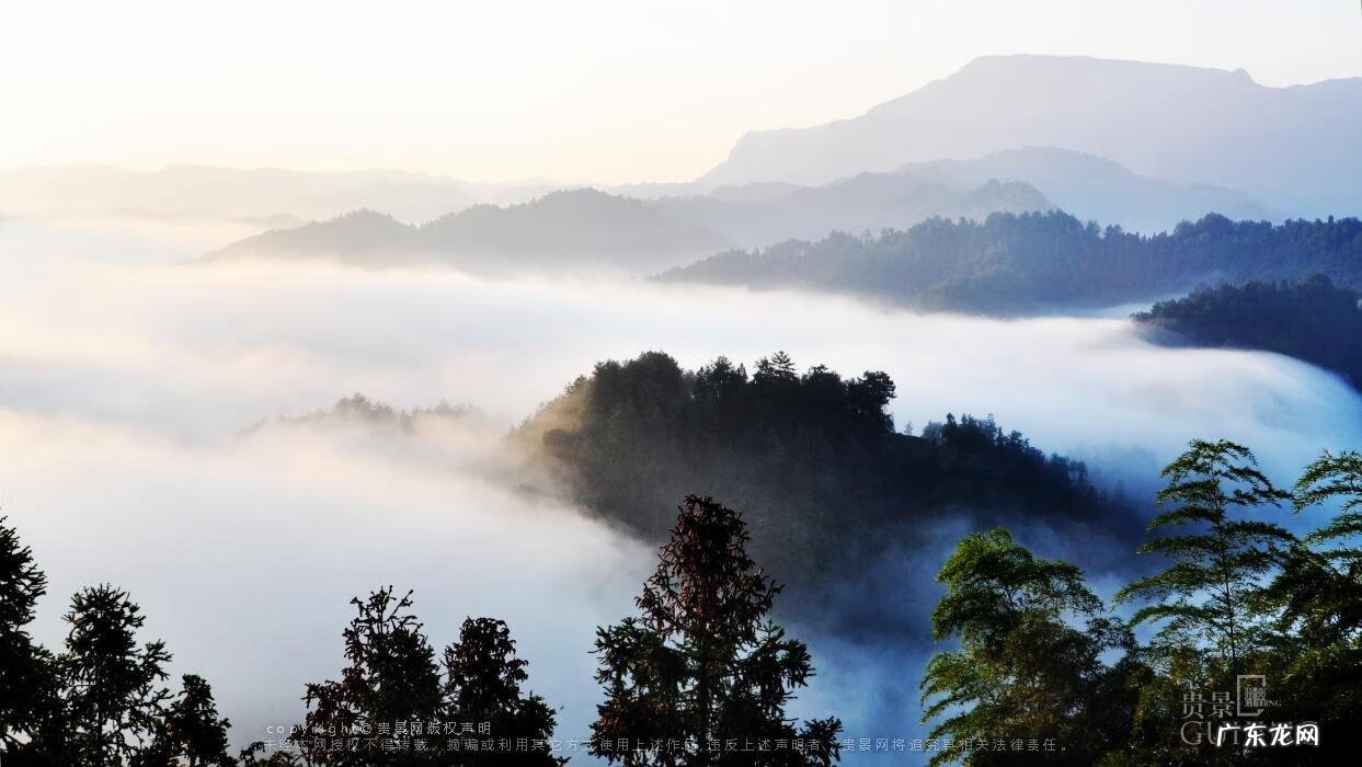 丹凤朝阳风水 飞凤朝阳风水是什么意思