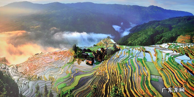 丹凤朝阳风水 飞凤朝阳风水是什么意思