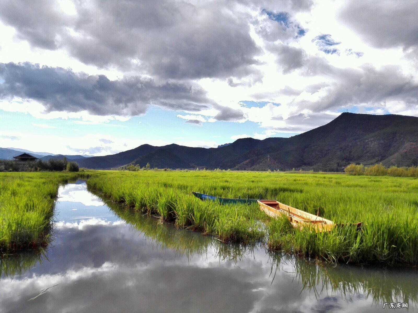 丹凤朝阳风水 飞凤朝阳风水是什么意思