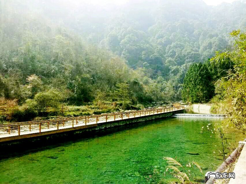 丹凤朝阳风水 飞凤朝阳风水是什么意思