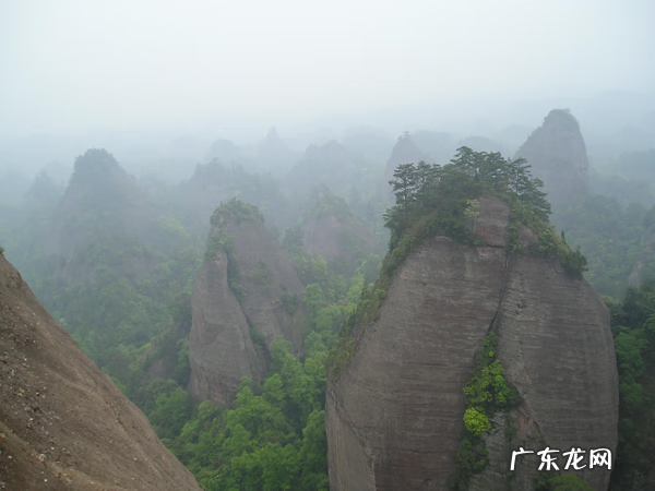 丹凤朝阳风水 飞凤朝阳风水是什么意思