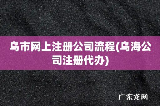 乌海公司注册代办 乌市网上注册公司流程