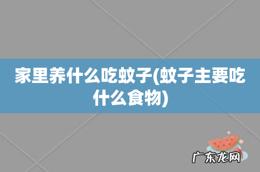 蚊子主要吃什么食物 家里养什么吃蚊子