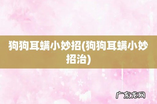 狗狗耳螨小妙招治 狗狗耳螨小妙招