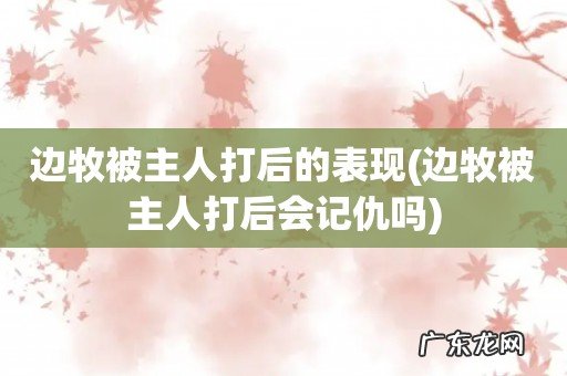 边牧被主人打后会记仇吗 边牧被主人打后的表现