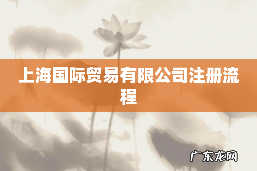 上海国际贸易有限公司注册流程