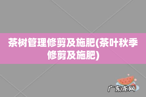 茶叶秋季修剪及施肥 茶树管理修剪及施肥