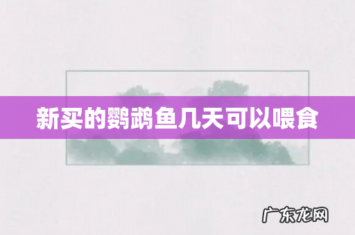 新买的鹦鹉鱼几天可以喂食