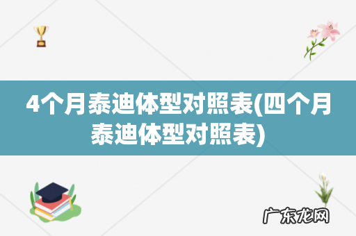 四个月泰迪体型对照表 4个月泰迪体型对照表