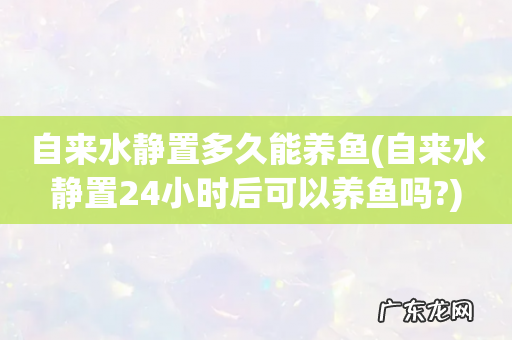自来水静置24小时后可以养鱼吗? 自来水静置多久能养鱼