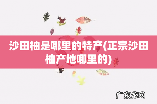 正宗沙田柚产地哪里的 沙田柚是哪里的特产