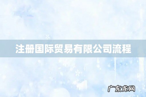 注册国际贸易有限公司流程