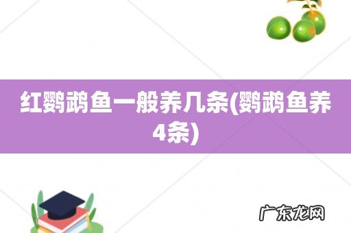 鹦鹉鱼养4条 红鹦鹉鱼一般养几条