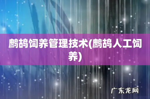 鹧鸪人工饲养 鹧鸪饲养管理技术