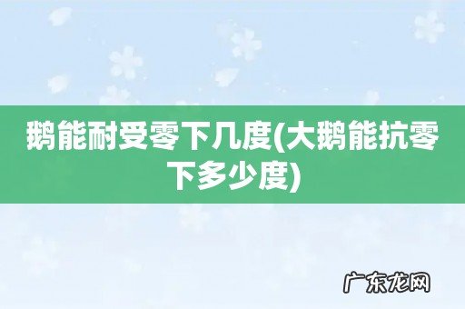 大鹅能抗零下多少度 鹅能耐受零下几度