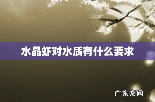 水晶虾对水质有什么要求