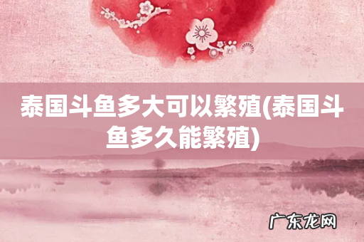 泰国斗鱼多久能繁殖 泰国斗鱼多大可以繁殖