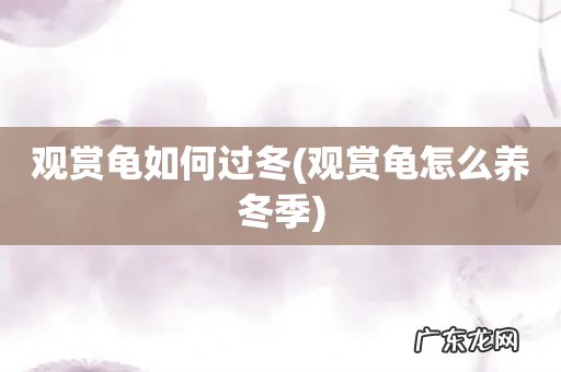 观赏龟怎么养冬季 观赏龟如何过冬