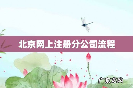 北京网上注册分公司流程