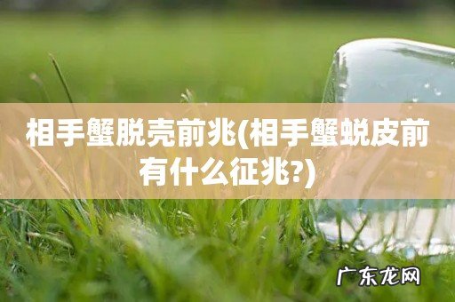 相手蟹蜕皮前有什么征兆? 相手蟹脱壳前兆