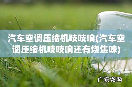 汽车空调压缩机吱吱响还有烧焦味 汽车空调压缩机吱吱响