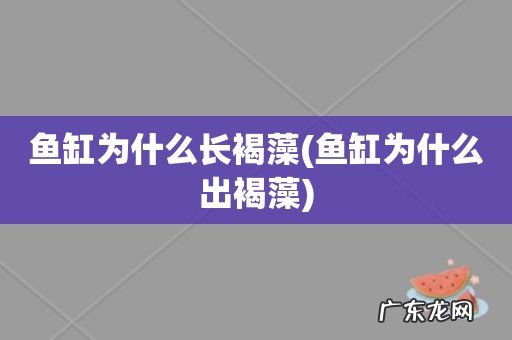 鱼缸为什么出褐藻 鱼缸为什么长褐藻