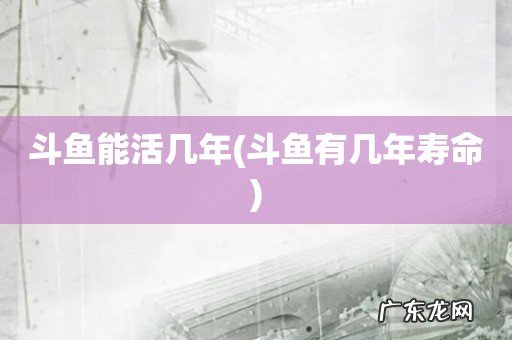 斗鱼有几年寿命 斗鱼能活几年