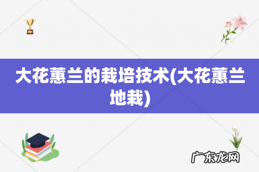 大花蕙兰地栽 大花蕙兰的栽培技术