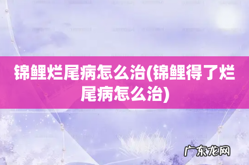 锦鲤得了烂尾病怎么治 锦鲤烂尾病怎么治