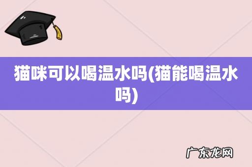 猫能喝温水吗 猫咪可以喝温水吗