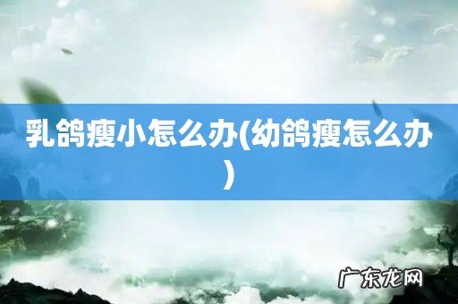 幼鸽瘦怎么办 乳鸽瘦小怎么办
