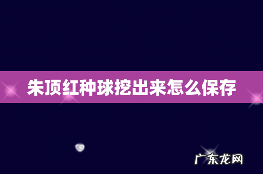 朱顶红种球挖出来怎么保存