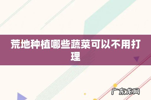 荒地种植哪些蔬菜可以不用打理