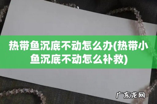 热带小鱼沉底不动怎么补救 热带鱼沉底不动怎么办