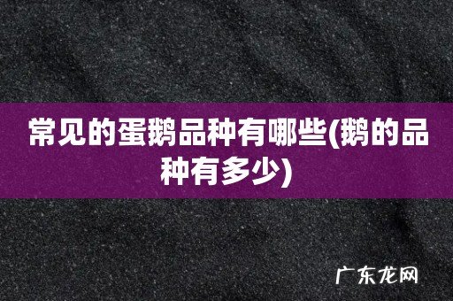 鹅的品种有多少 常见的蛋鹅品种有哪些