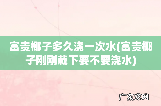 富贵椰子刚刚栽下要不要浇水 富贵椰子多久浇一次水