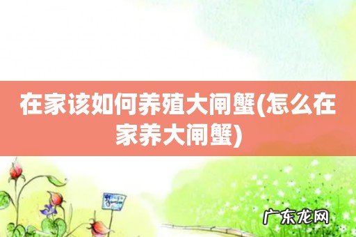 怎么在家养大闸蟹 在家该如何养殖大闸蟹