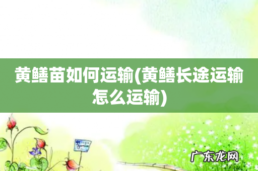 黄鳝长途运输怎么运输 黄鳝苗如何运输