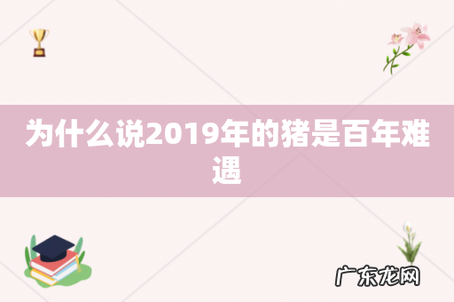 为什么说2019年的猪是百年难遇