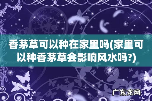 家里可以种香茅草会影响风水吗? 香茅草可以种在家里吗