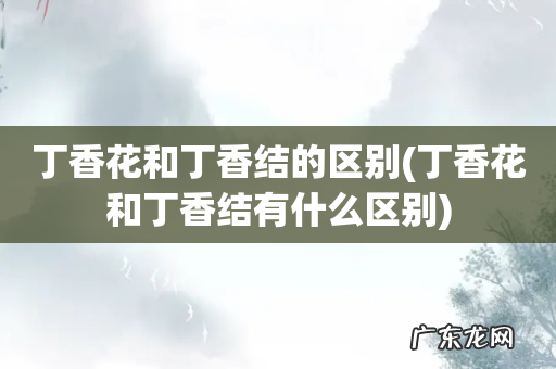 丁香花和丁香结有什么区别 丁香花和丁香结的区别