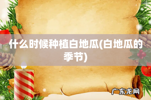 白地瓜的季节 什么时候种植白地瓜
